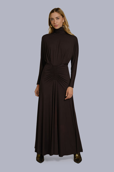 Ruched Waist Turtleneck Maxi Dress